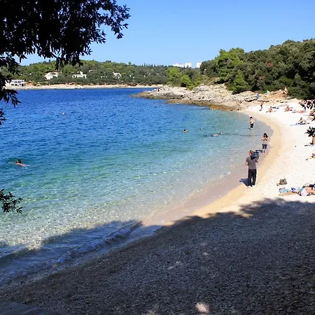 With Wifi - 6987 * Pola