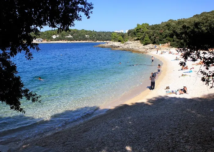 With Wifi - 6987 * פולה